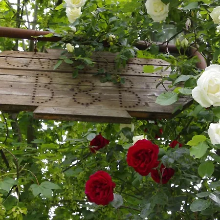 Bed & Breakfast Ca' Di Croso'